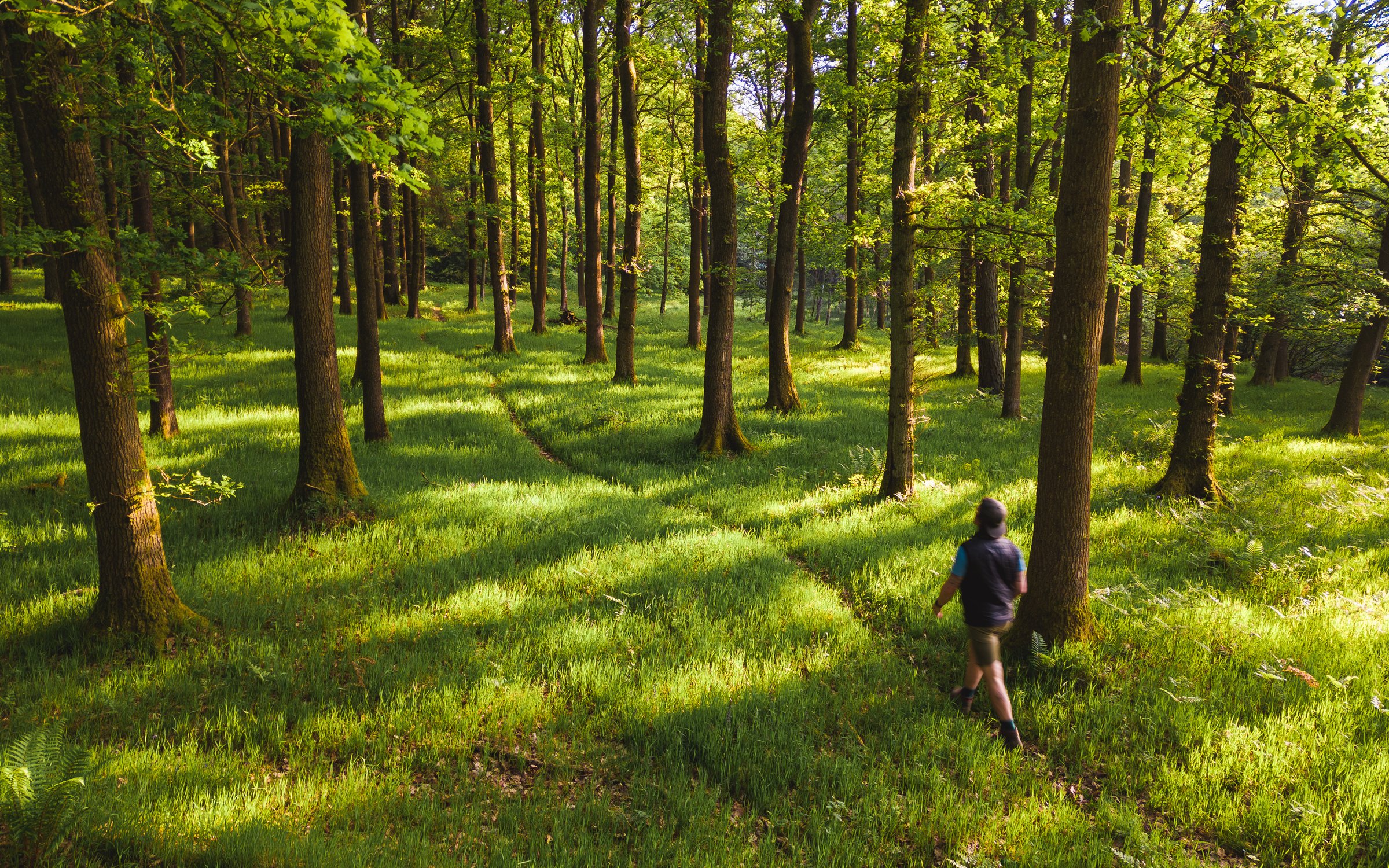 Mortimer forest mtb sales